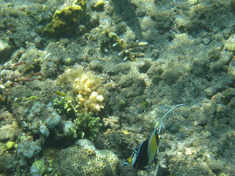 trip_bali 236 